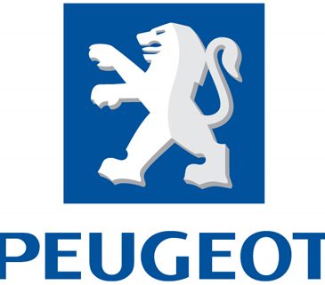 Disklok Peugeot campers